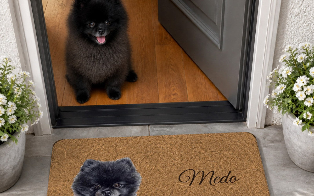 Doormat with a dog portrait in front of the front door